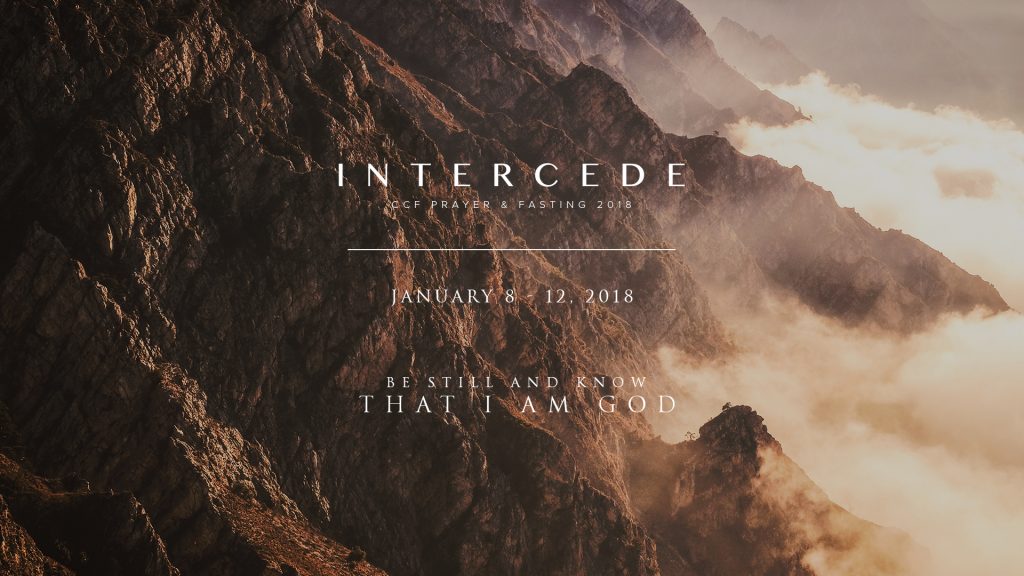 Intercede 2018