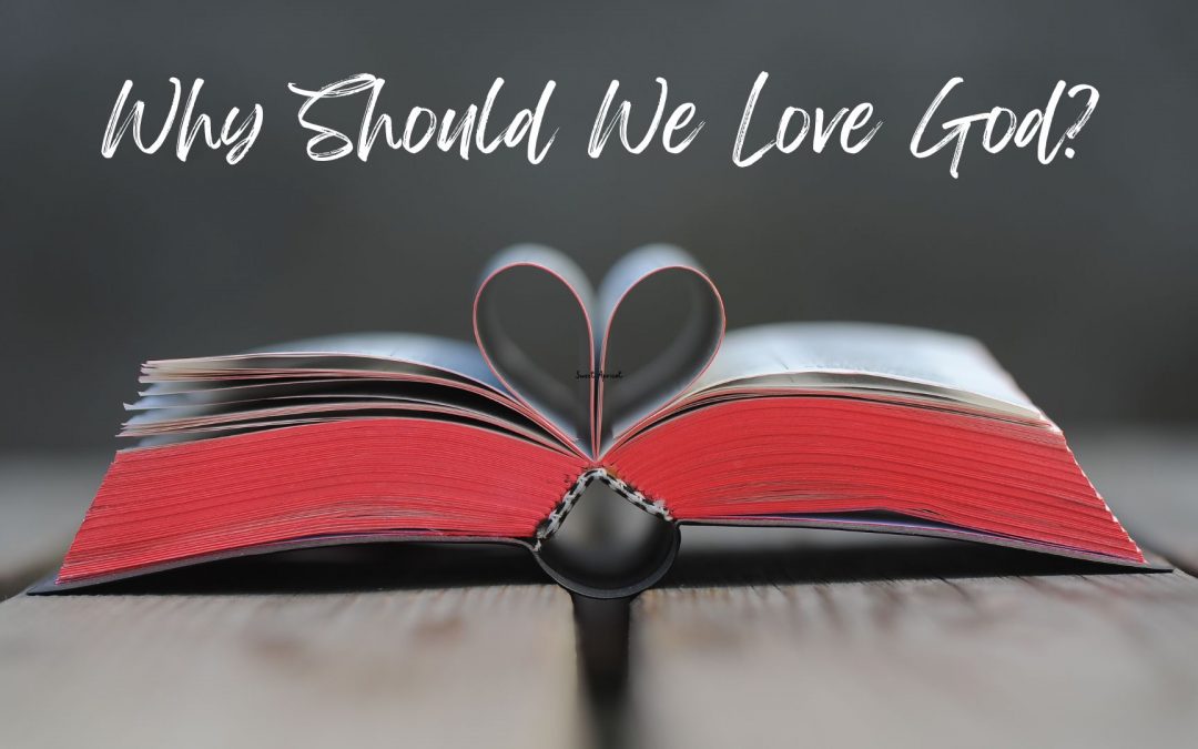 Why Should We Love God?